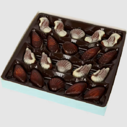 All-time Favorites -Chocolate Seashells- Sweets Chocolate Candies 250 g