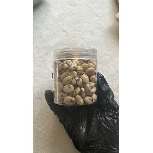 قهوة كابتشينو 