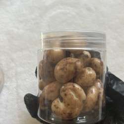 كاجو كابتشينو 